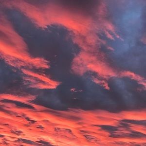 Meet your Posher, Isabel